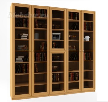 шкаф распашной  для книг и документов " Гамма - 5.1 "