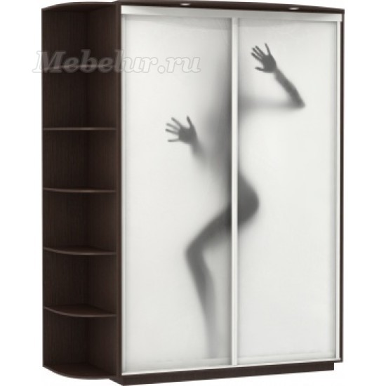 шкаф купе с алюминиевым профилем и фотопечатью модель женщина за стеклом